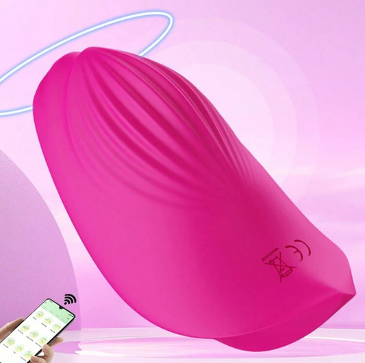 Discreet Panty Vibrator